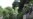 15 Dead in Philippines Clash