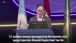 Новый глава Интерпола