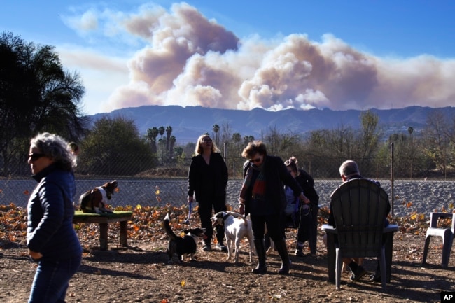 Residents and their dogs keep watch from a dog park as smoke from the Palisades Fire rises over a ridge in the Encino section of Los Angeles on Jan. 11, 2025.