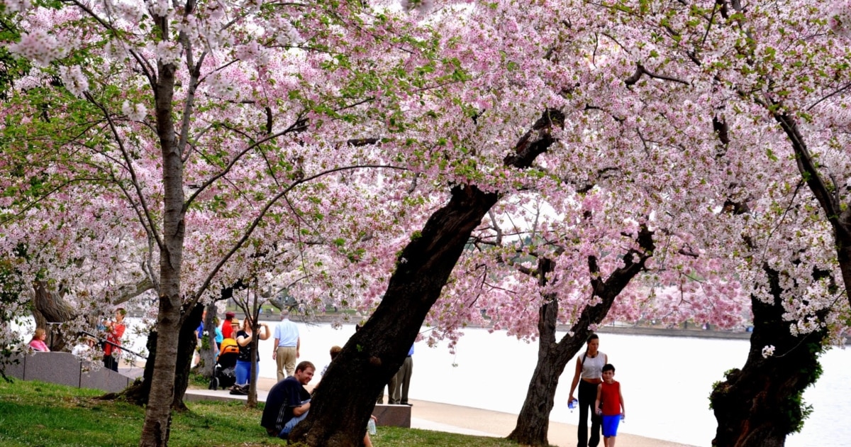 Spring to Life!