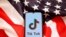 俗稱抖音海外版的TikTok。
