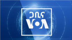 ሰኞ፡-ጋቢና VOA