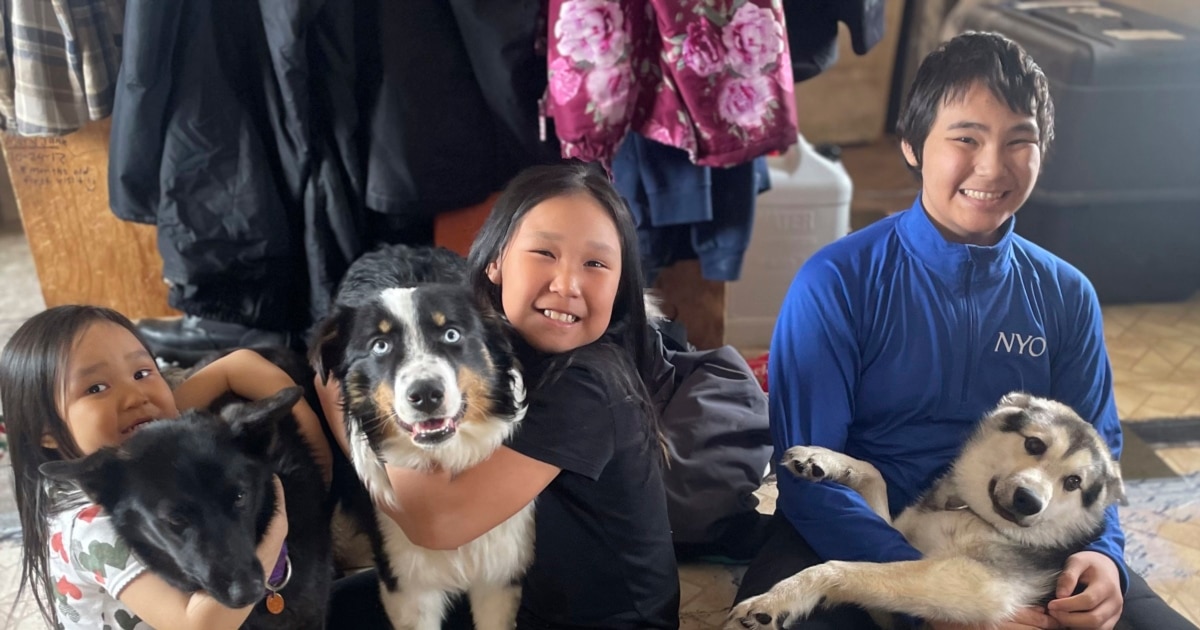 Dog Returned to Family after 240 Kilometer Trip over Sea Ice