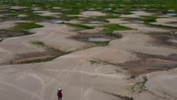  La sequía del río Amazonas provoca emergencia de sequía en zonas de Colombia
