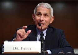 Dr. Anthony Fauci, director of the National Institute for Allergy and Infectious Diseases, testifies before a Senate Health, Education, Labor and Pensions Committee hearing on Capitol Hill in Washington, June 30, 2020.