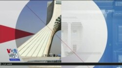 اخبار شامگاهی