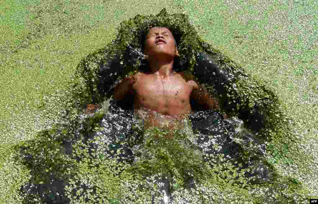 A boy jumps in a pond covered with algae at Kirtipur on the outskirts of Kathmandu.
