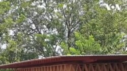Warak Kayu, Perpustakaan Mini dengan Arsitektur Kelas Dunia