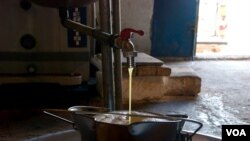 Olive press in the Nafusa Mountains, Libya, April 09, 2012. (Stephanie Figgins)