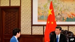 In this photo provided by Hong Kong Government Information ServicesChinese President Xi Jinping, right, speaks with Hong Kong Chief Executive Carrie Lam, during their meeting, in Beijing, China, Dec. 16, 2019.