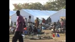 三名维和军人在南苏丹被打死