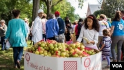 Members of an interfaith group that sponsored Unity Walk 2017 in the U.S. capital prepared apples for marchers in the annual peaceful demonstration for peace and tolerance on Sunday 09/10/17. (B. Bradford/VOA) 