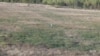 The Dark and Light Sides of Latest Drone Technology