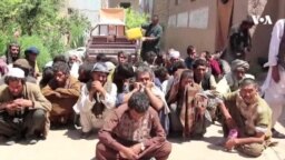 جمع‌آوری ۵۱۰ معتاد بی‌سرپناه در هرات