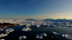 Greenland Continues to Lose its Ice Sheet