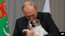 Владимир Путин