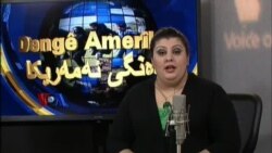 Kurdi Radio On TV