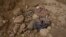 FILE - Human remains lie on the ground in a ravine near Badoush, northern Iraq, Sept. 6, 2017. Iraqi military investigators have identified two mass graves in the area they say contain the remains of at least 500 people, executed by Islamic State militants.