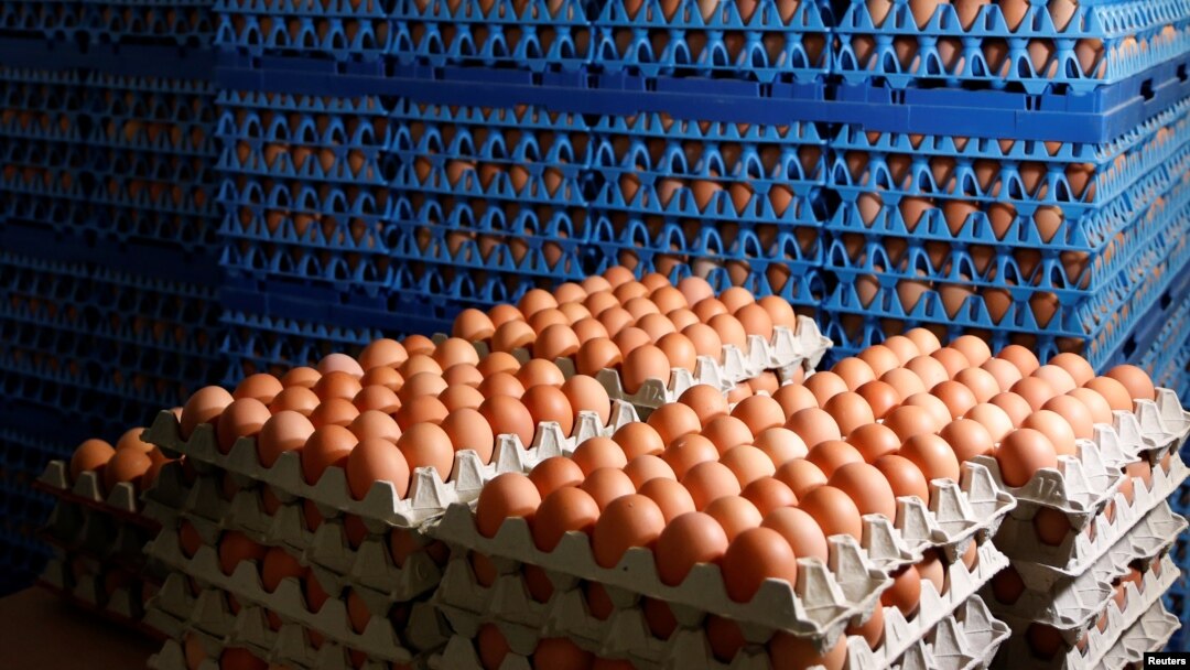 Telur-telur ayam siap dijual di pasar di kota Antwerpen, Belgia (foto: ilustrasi). Insektisida ditemukan dalam produk telur yang dikirim untuk digunakan di restoran dari Jerman, Belanda, Belgia dan Polandia.