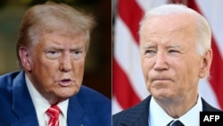 Trump - Biden