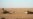 Iraqi Forces Launch Operation to Clear Last Islamic State Positions In Desert