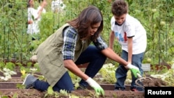 Then-first lady Michelle Obama helps a youngster harvest vegetables in the White House Kitchen Garden, Oct. 6, 2016.