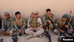 아프가니스탄 헬만드 지역에서 미군이 아프간 정부군 훈련을 지원하고 있다. (자료사진)