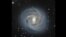 Several images taken by the Hubble Space Telescope in order to help identify key stellar distance markers known as Cepheid variable stars (Hubble Legacy Archive, ESA, NASA)