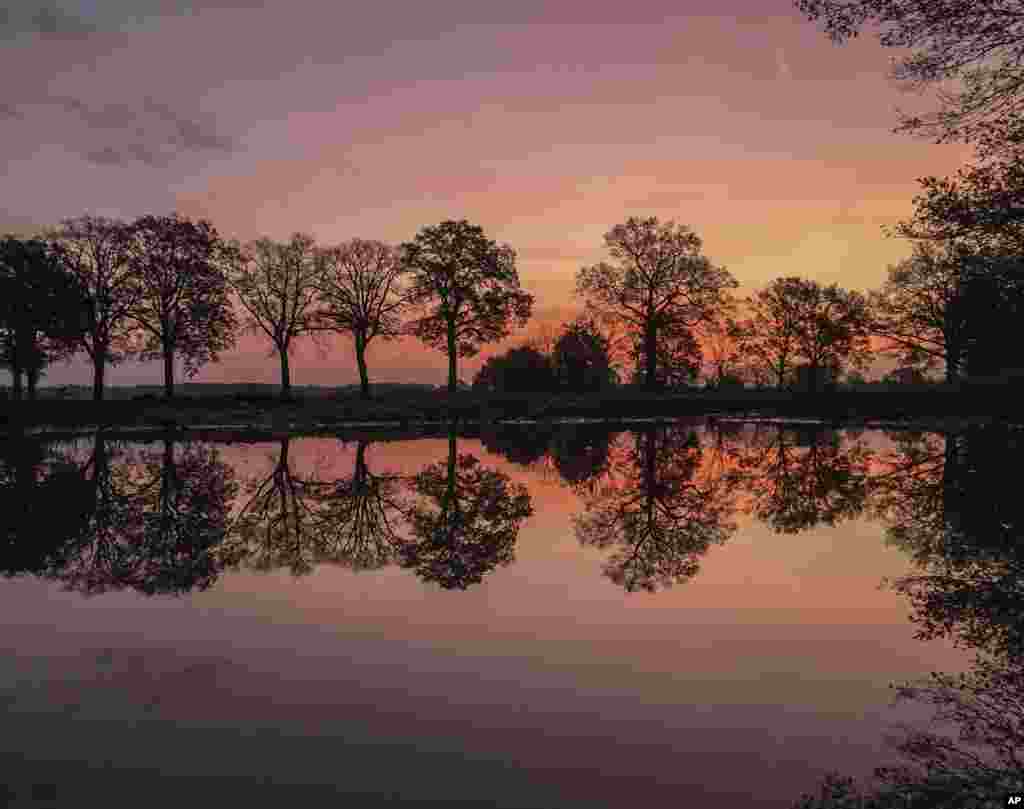 Trees are mirrored in a lake near Sierversdorf, eastern Germany, Nov. 4, 2017.