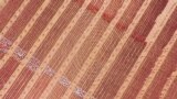 ژنرال قاسم سلیمانی فرمانده سپاه قدس، در ردیف دوم &quot;دیدار عیدانه&quot; فرماندهان ارشد نیروهای مسلح با رهبر جمهوری اسلامی دیده می شود.