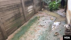 Sewer burst in Bulawayo