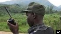 Un rebelle FDLR dans l'Est de la RDC (Archives)