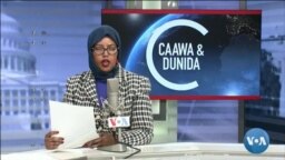 Caawa iyo Dunida