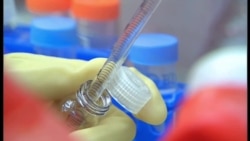 Ebola Vaccine Hailed as Highly Effective