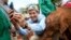 U.S. Secretary of State John Kerry takes a selfie with a baby elephant while touring the Sheldrick Center Elephant Orphanage at the Nairobi National Park, Sunday, May 3, 2015, in Nairobi, Kenya. 