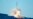 SpaceX Completes Successful Rocket Launch