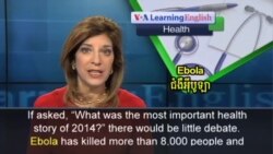 Ebola Wrap of 2014