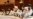 Taliban Again Eyeing Power in Afghanistan?