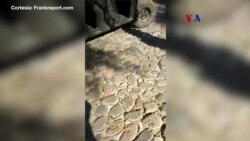 Fundador de Nxivm acusado de crear un culto de esclavas sexuales