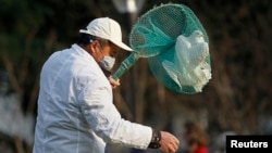 Petugas taman kota menangkapi burung merpati di Shanghai untuk mencegah penyebaran flu burung H7N9. 