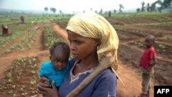 Une paysanne dans à Tshikapa, Kasaï, RDC, 27 juillet 2017. 