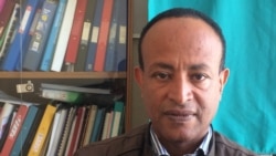 ኤርትራ: ተራ መጸበዪ ነብሰ-ጾራት ኣብ ምጉዳል መጠነ ሞት ኣደን ዕሸልን ዓቢ ከምዝኾነ ተገሊጹ