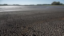 UN predicts worsening global drought, land degradation