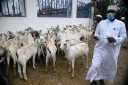 Seorang Muslim mengenakan masker pelindung, membeli seekor kambing untuk disembelih menjelang perayaan Idul Adha Muslim di Nairobi, Kenya, 31 Juli 2020. (Foto oleh Simon MAINA / AFP)