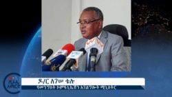 መደበኛ ሥራዎችን ምክትል ጠቅላይ ሚኒስት ደመቀ መኮንን ያስተባብራሉ ተብሏል