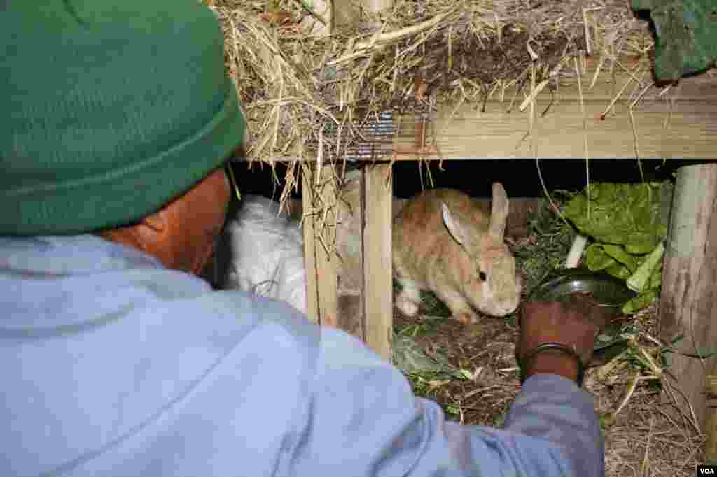 Sihle is very fond of helping to feed the home’s animals (VOA/ D. Taylor) 