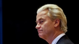 Aşırı sağcı Geert Wilders'in partisi Hollanda'daki seçimlerde birinci oldu