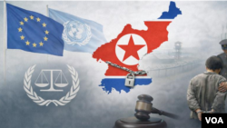 유럽연합(EU)이 북한의 심각한 인권 침해를 규탄하며 국제형사재판소(ICC) 회부를 포함한 책임 추궁을 촉구했다. (그래픽 이미지)