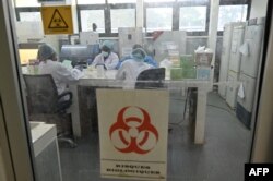 FILE - Lab technicians work in the virus epidemic department of the Pasteur Institute of Ivory Coast, near Abidjan, May 11, 2020.