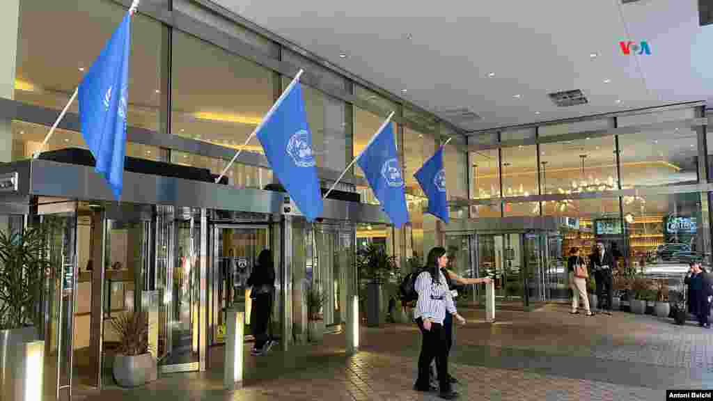 Varias banderas con el emblema de las Naciones Unidas ondean en uno de los edificios de la Universidad de la Ciudad de Nueva York.